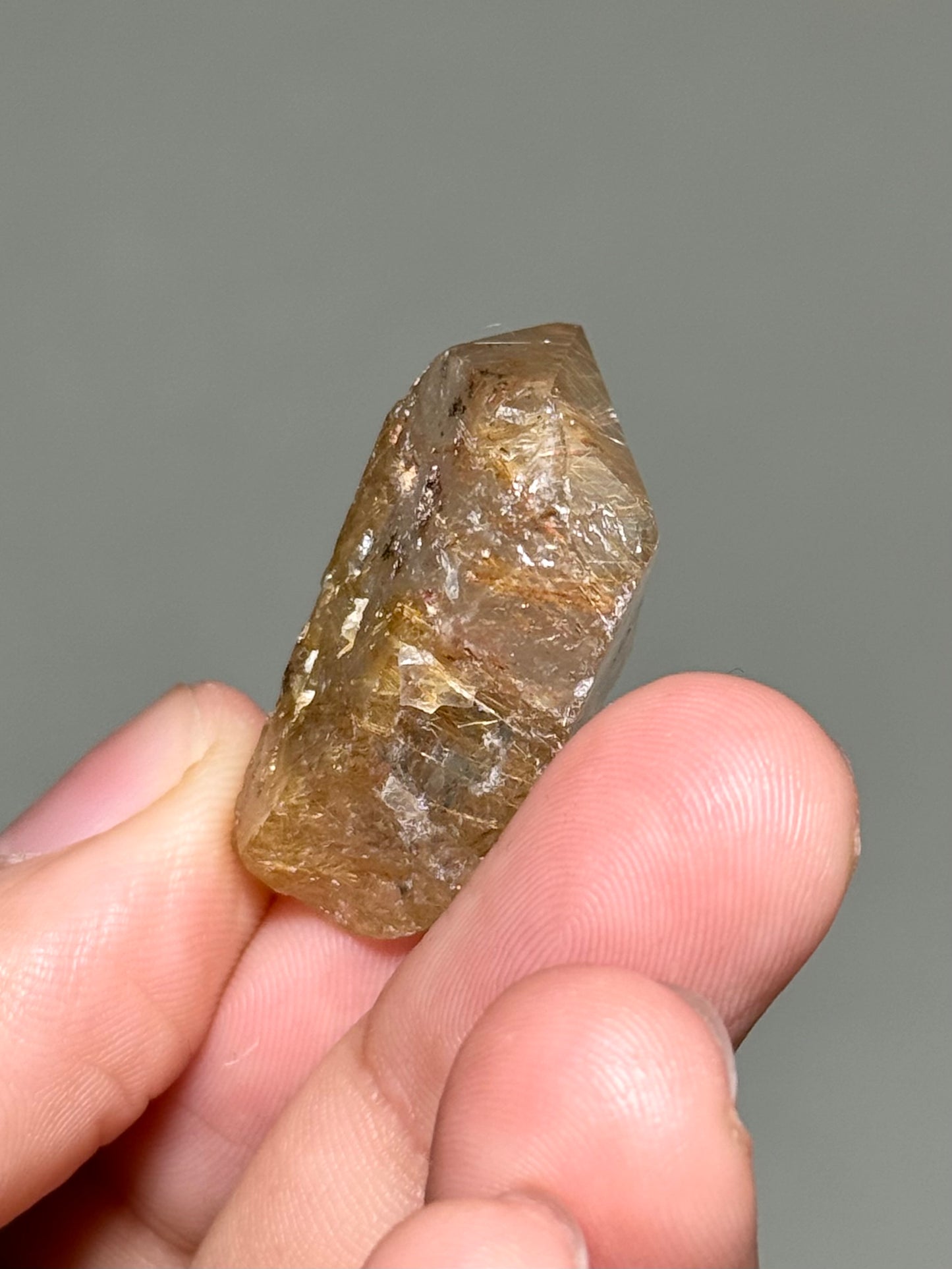 Semi-Polished Himalayan Quartz with Rutile