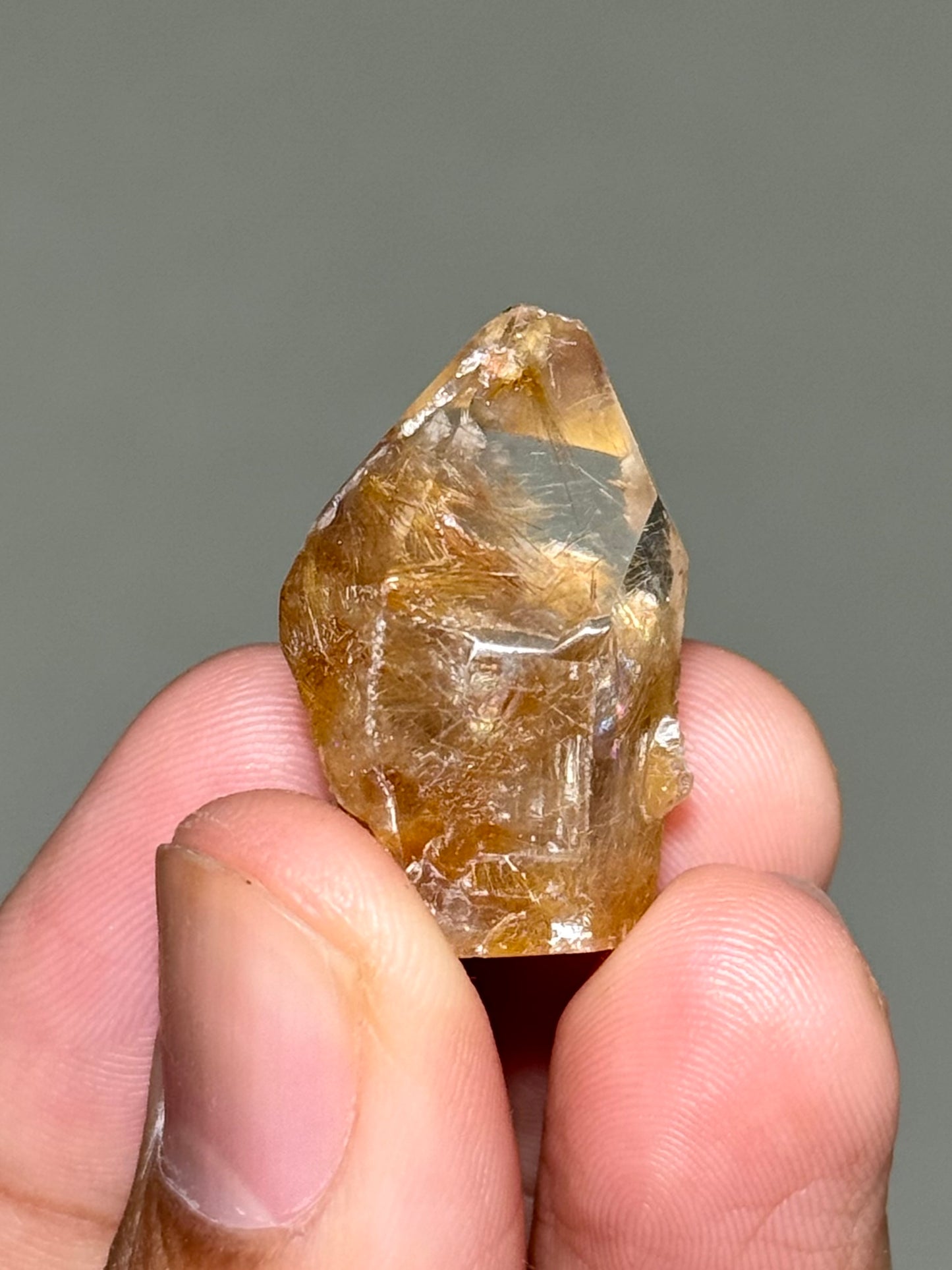 Semi-Polished Himalayan Quartz with Rutile