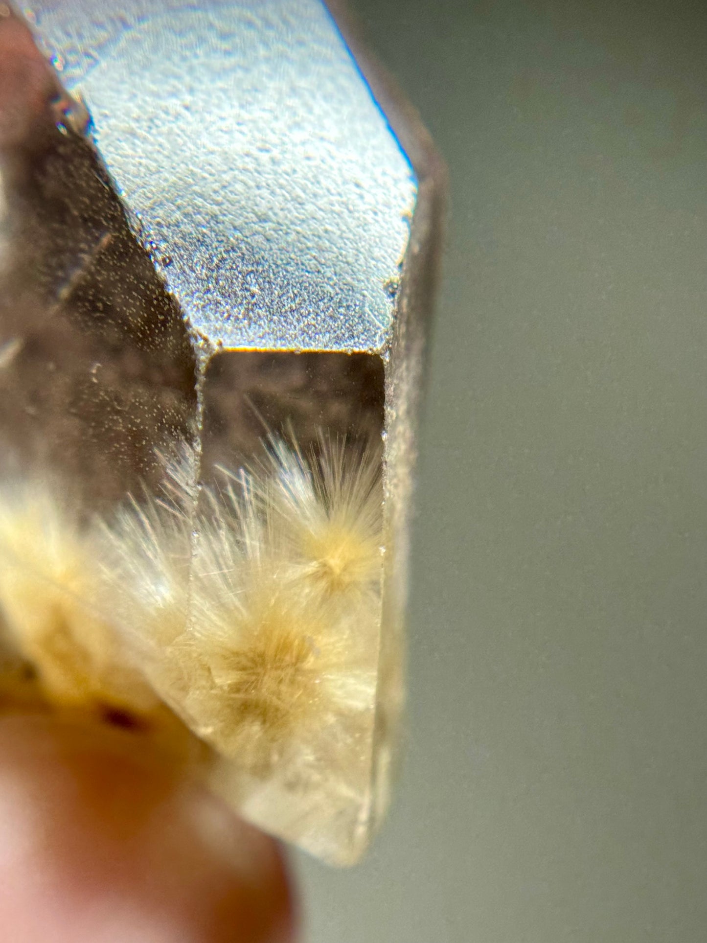 Dandelion Rutile in Quartz