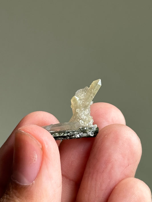 Quartz and Hedenbergite