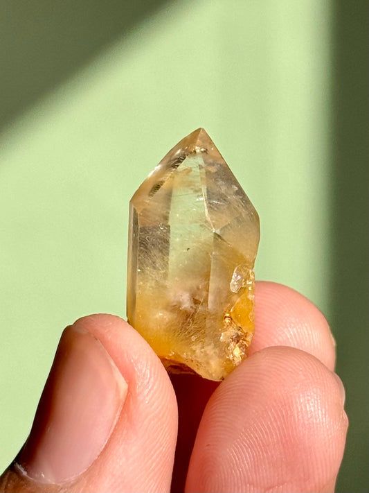 Semi-Polished Himalayan Quartz with Rutile