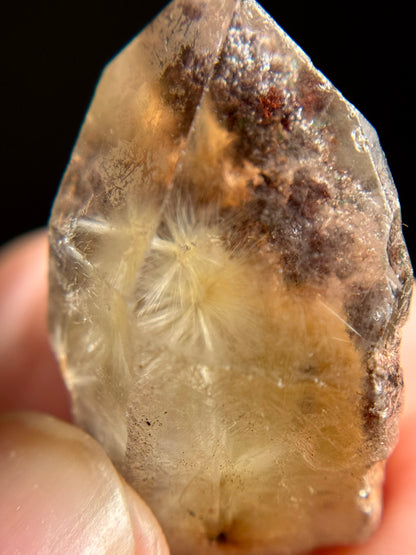 Dandelion Rutile in Quartz