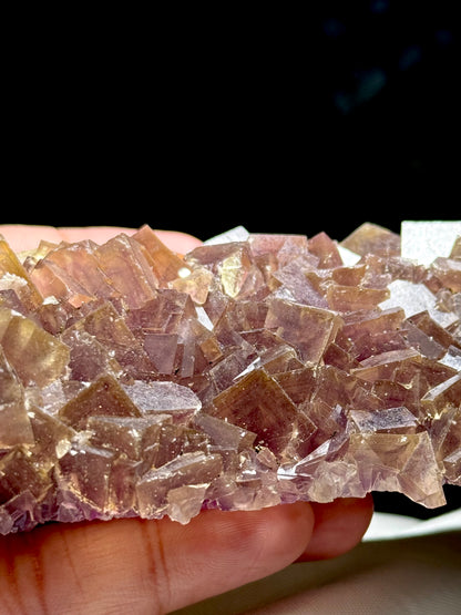 Fluorite & Quartz