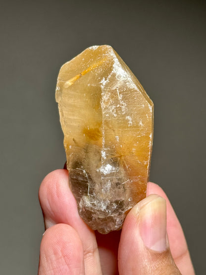 Dandelion Rutile in Quartz