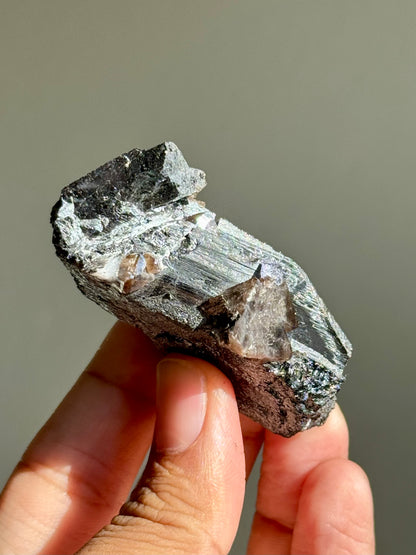 Ferberite & Scheelite
