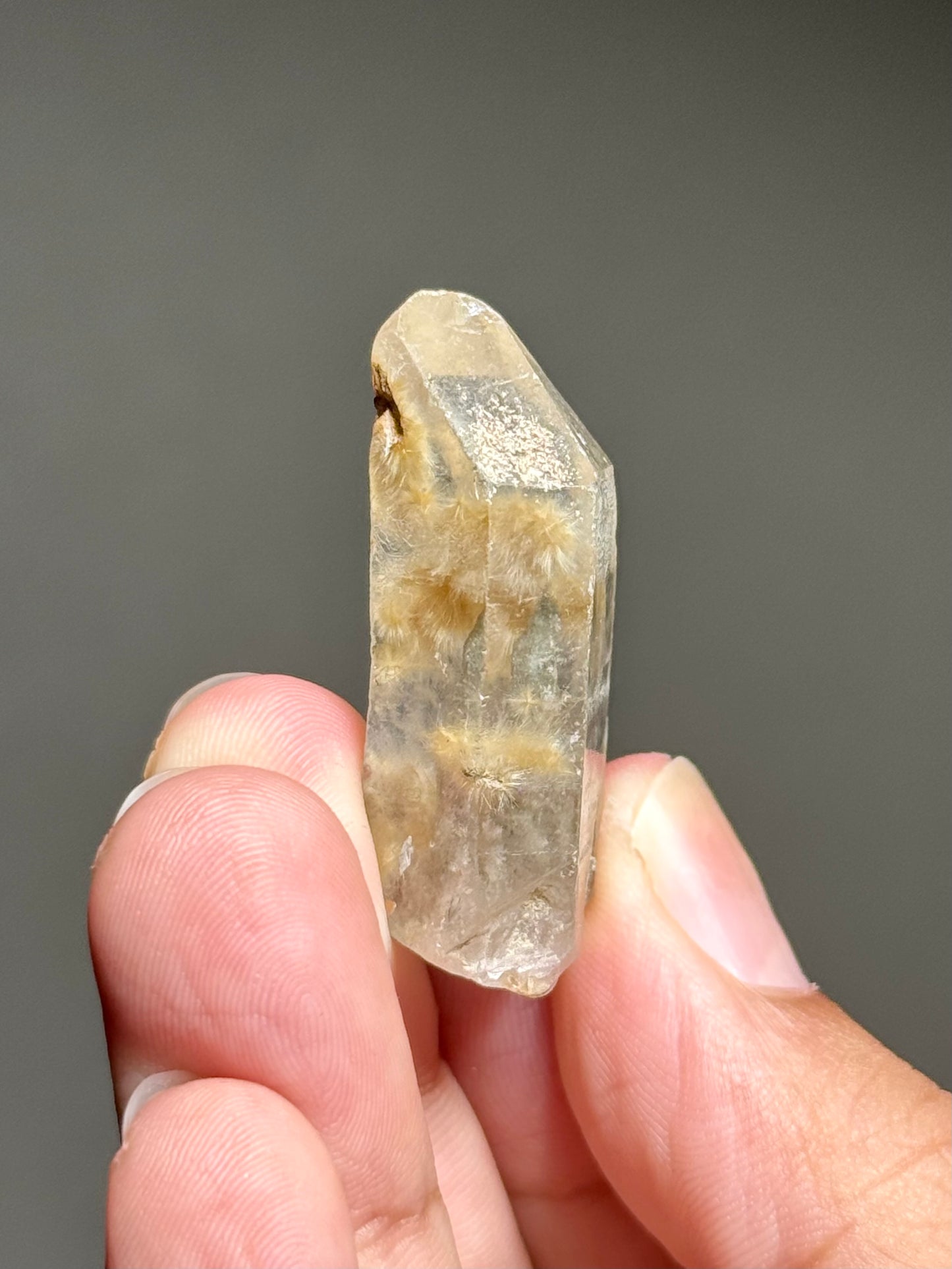 Dandelion Rutile in Quartz