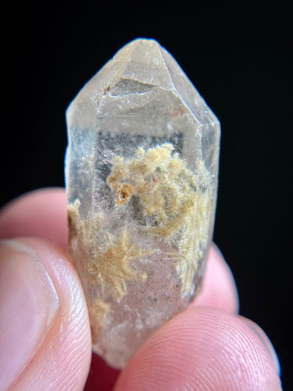 Dandelion Rutile in Quartz