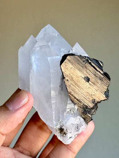 Quartz & Ferberite