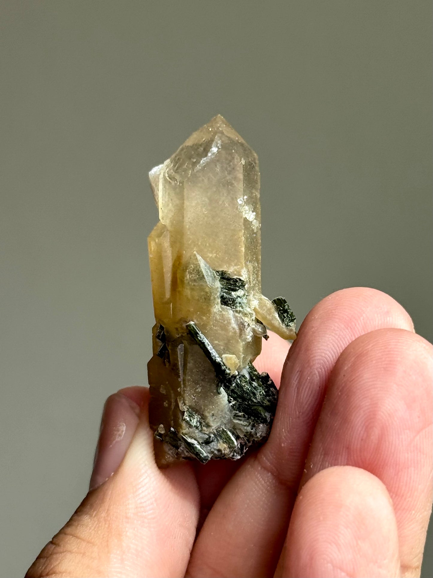 Quartz & Hedenbergite
