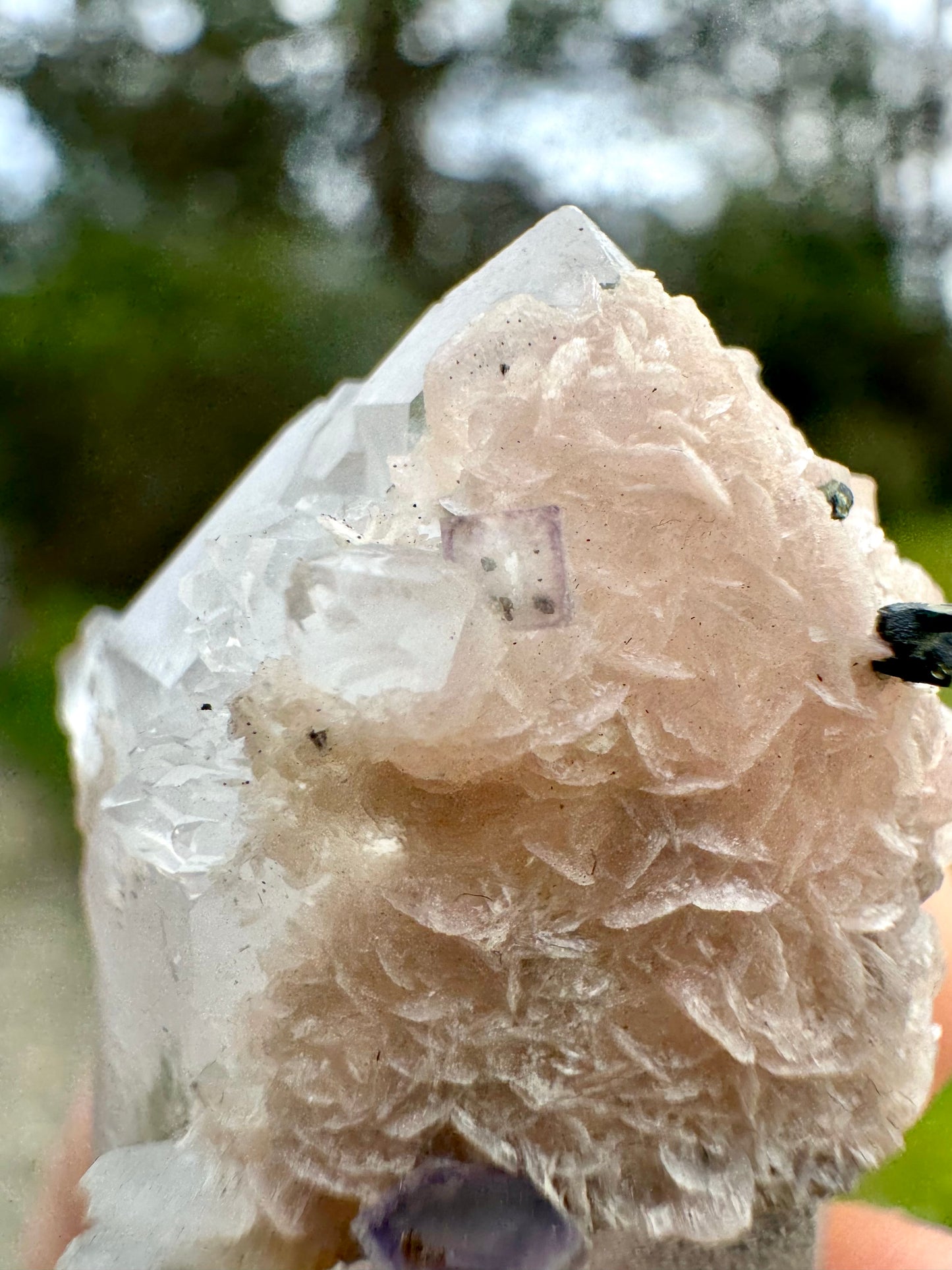 Quartz with Rhodochrosite & Fluorite