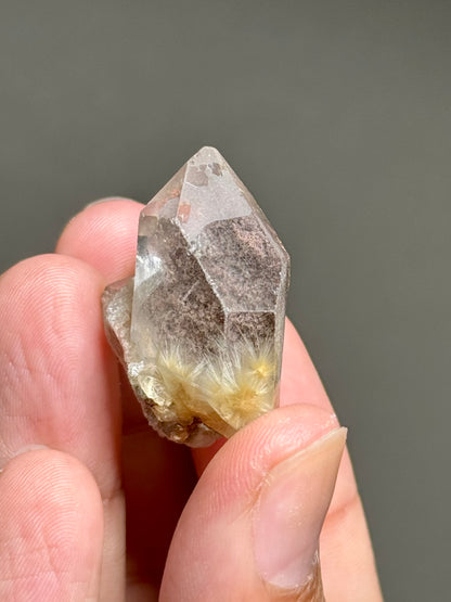 Dandelion Rutile in Quartz
