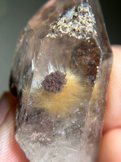 Dandelion Rutile in Quartz
