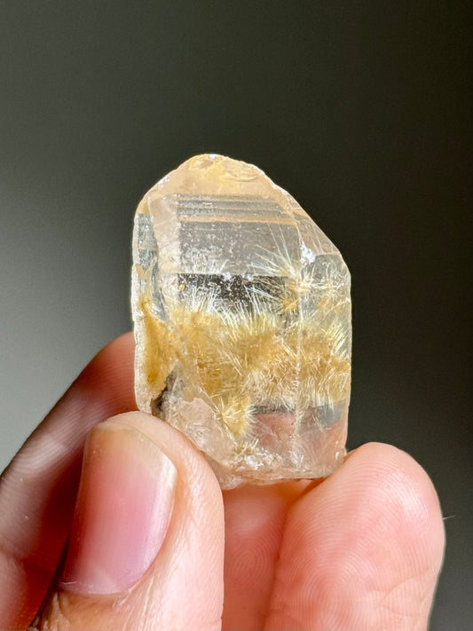 Dandelion Rutile in Quartz