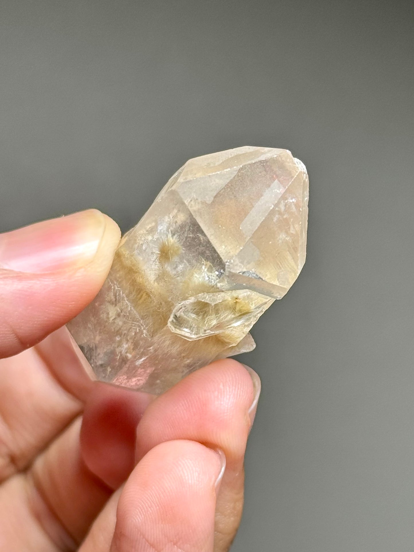 Dandelion Rutile in Quartz