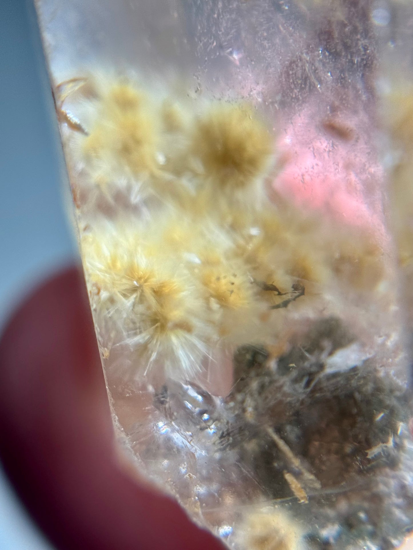 Dandelion Rutile in Quartz