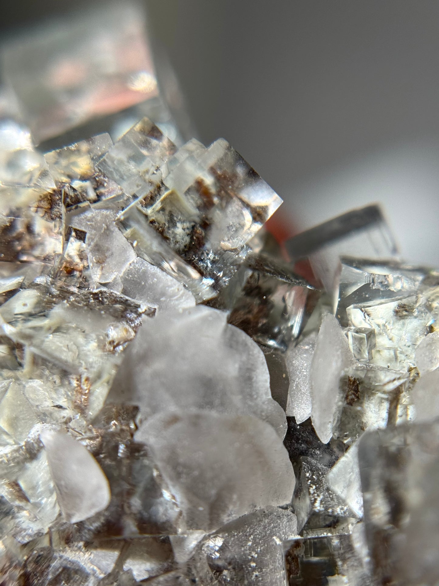 Fluorite & Calcite w/Dendrites