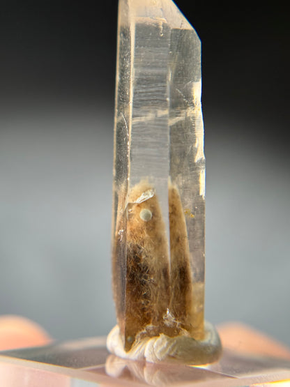 Cookite & Tremolite in Quartz