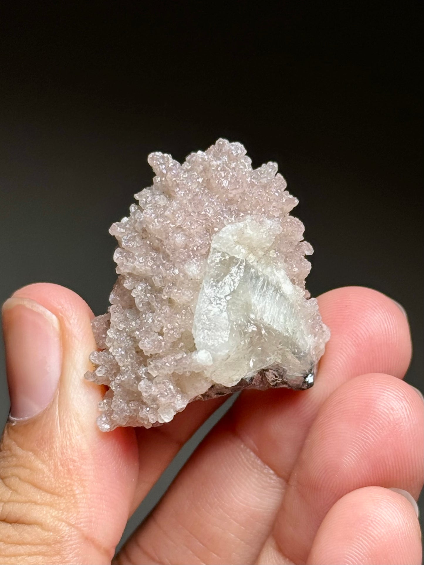 Quartz & Calcite