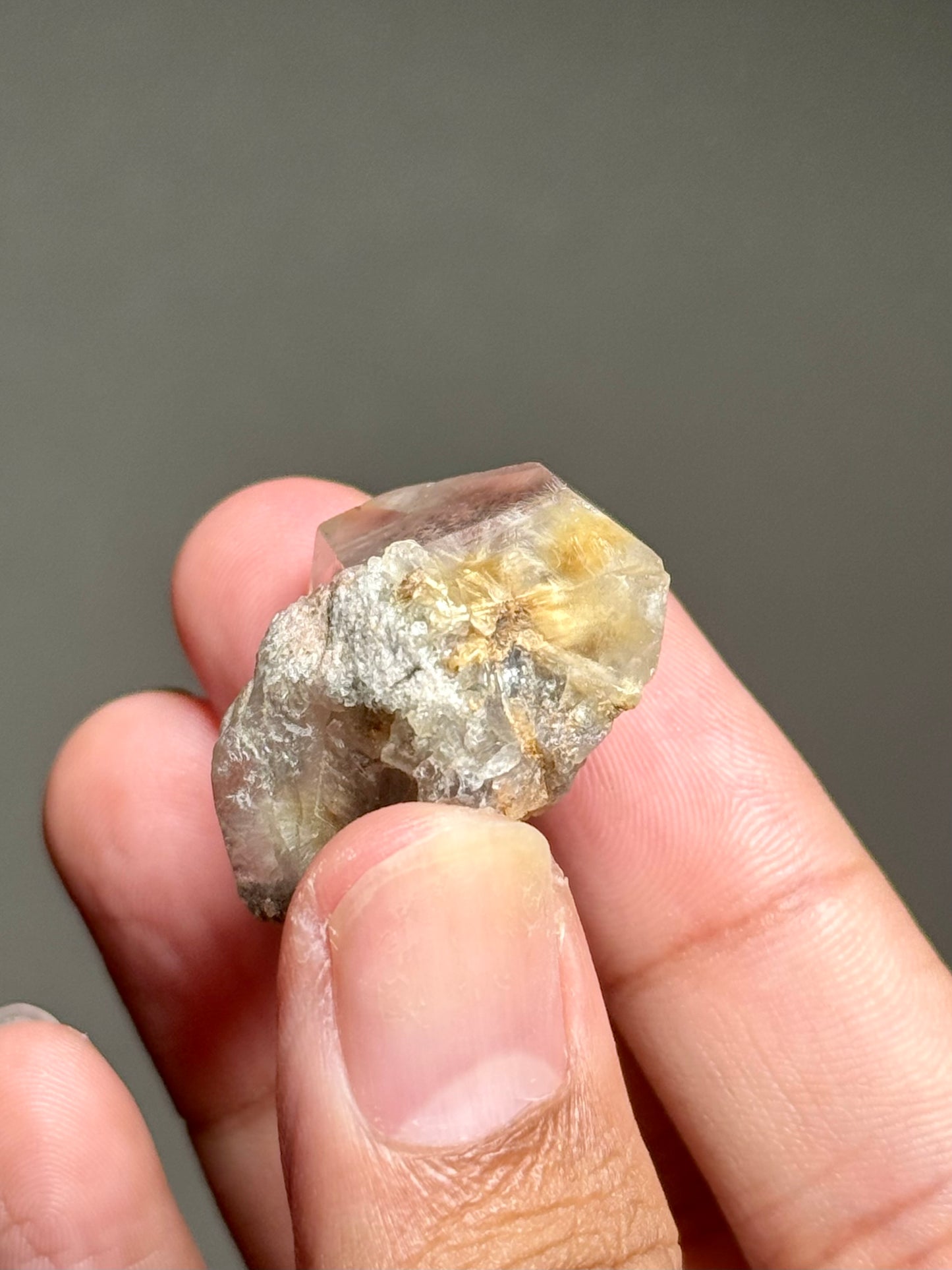Dandelion Rutile in Quartz