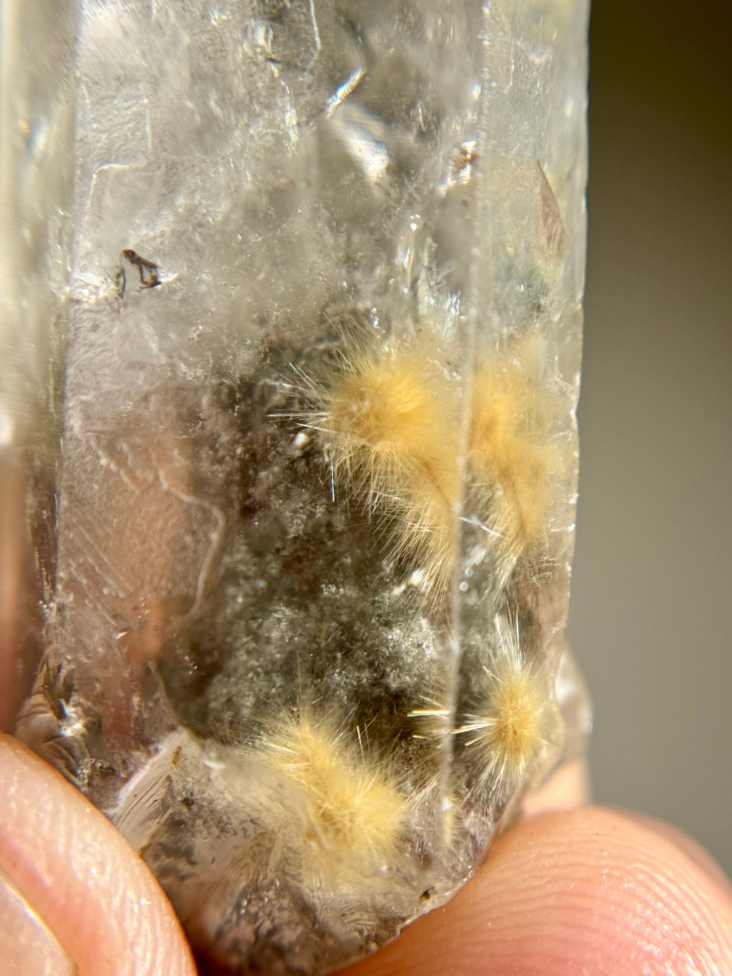 Dandelion Rutile in Quartz