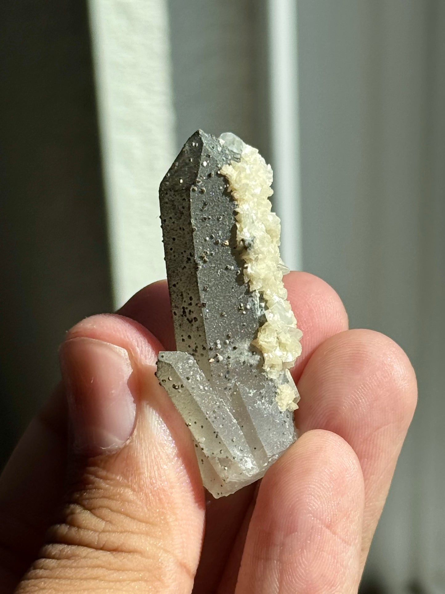 Quartz, Pyrite, Dolomite & Calcite