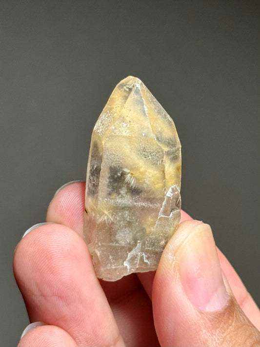 Dandelion Rutile in Quartz