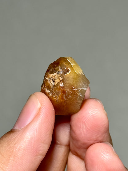 Semi-Polished Himalayan Quartz with Rutile