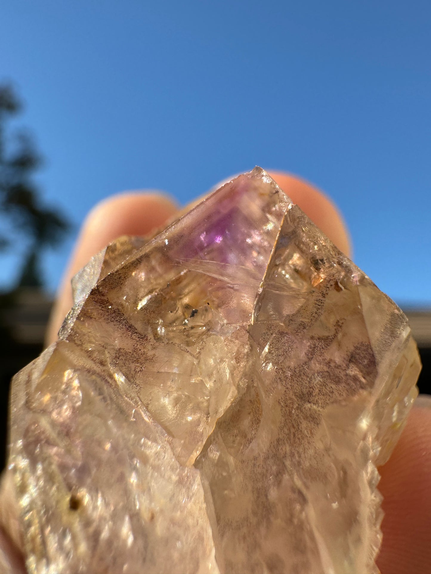 Little Gem Mine Amethyst