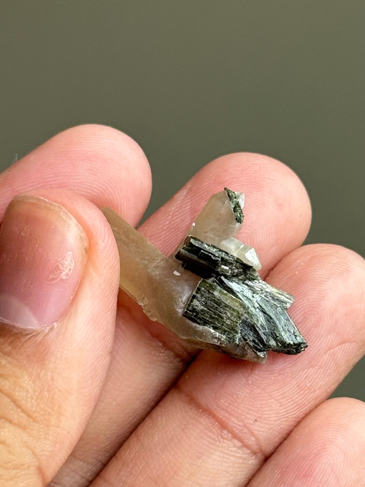 Quartz & Hedenbergite