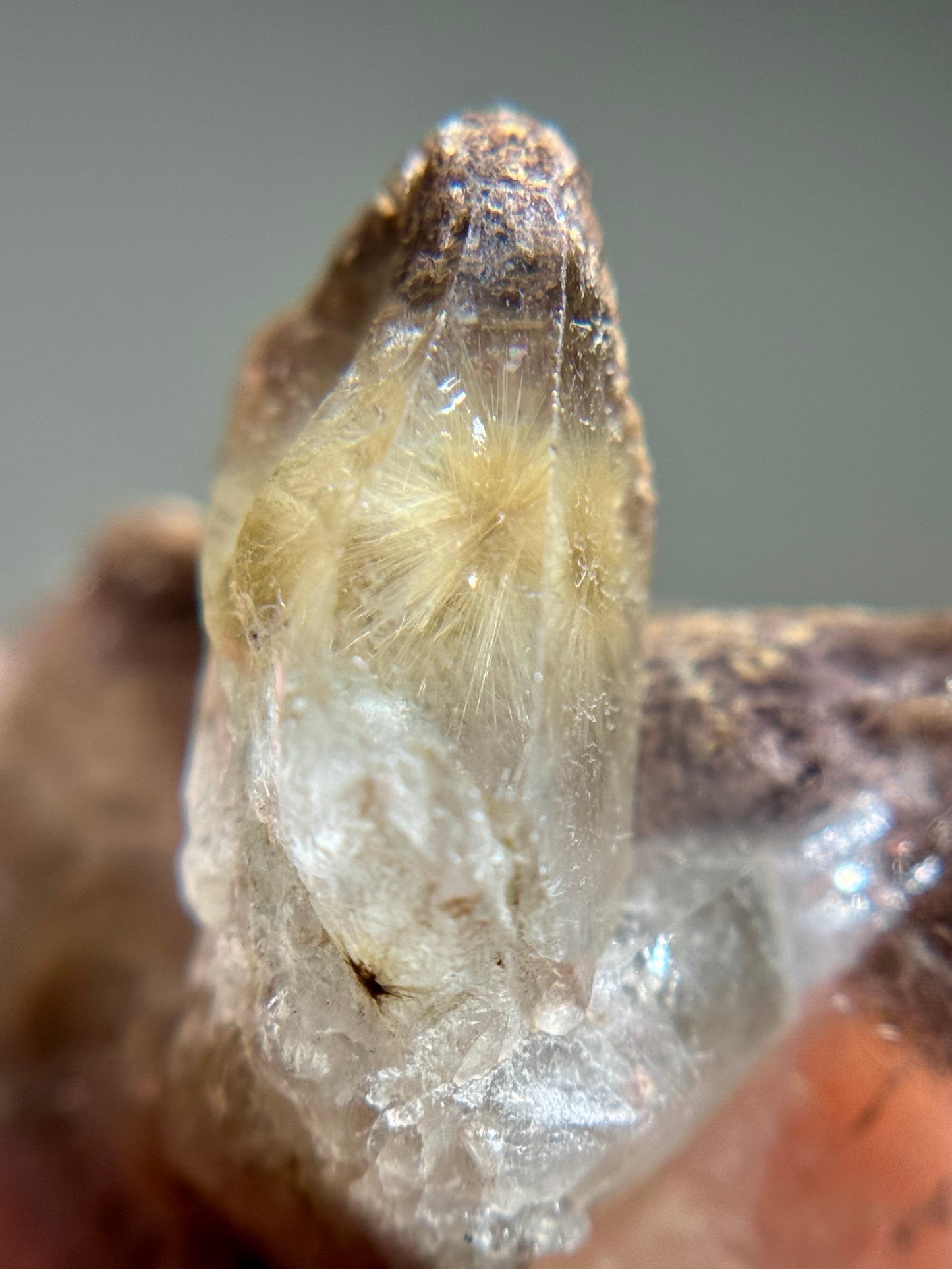 Dandelion Rutile in Quartz