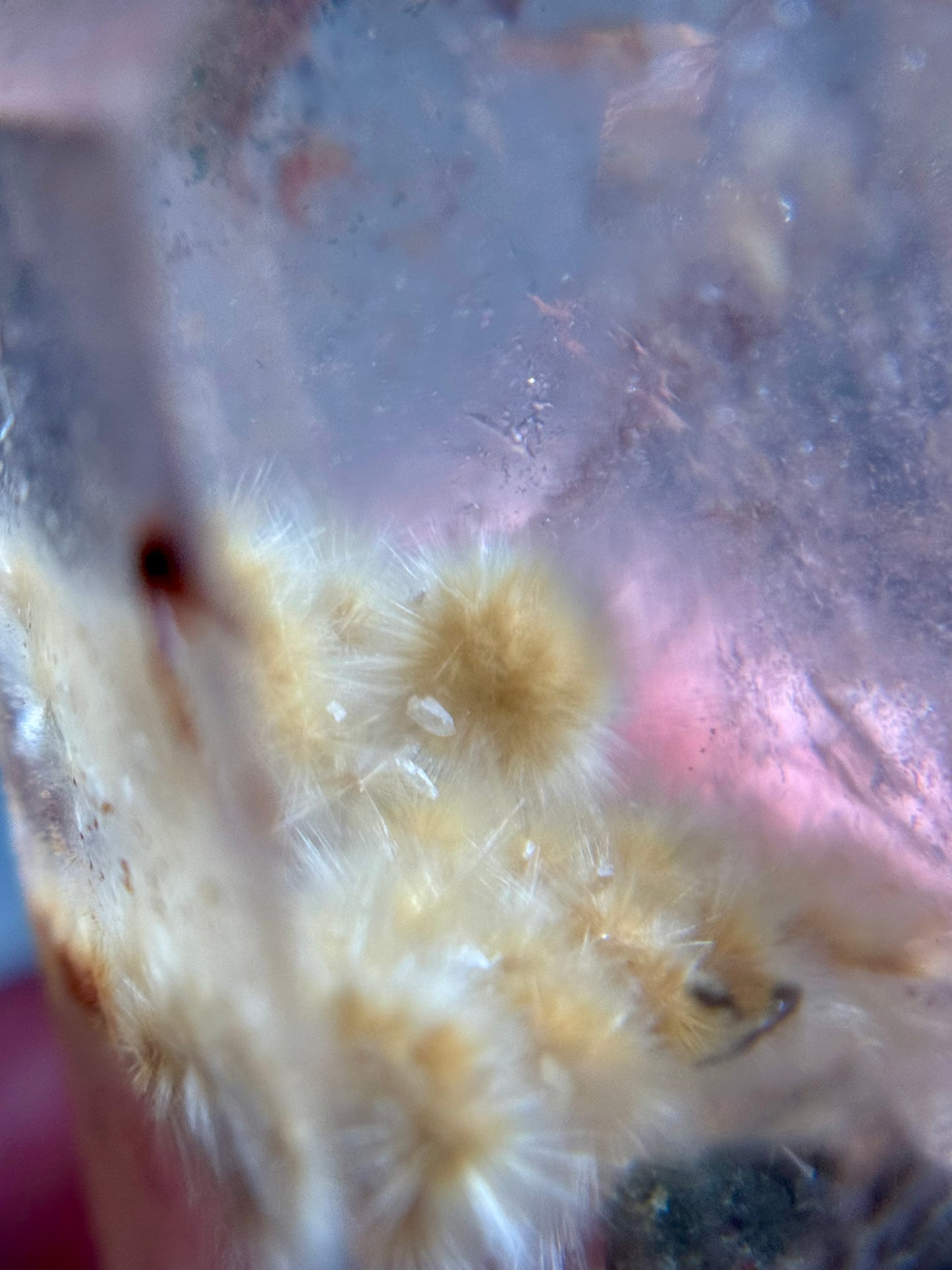 Dandelion Rutile in Quartz