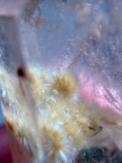 Dandelion Rutile in Quartz