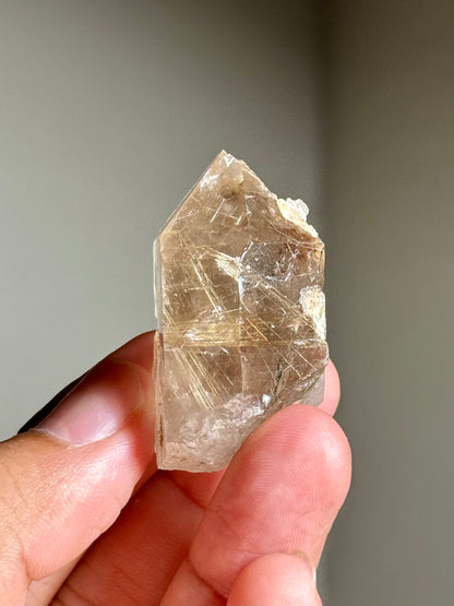 Smoky Quartz with Rutile