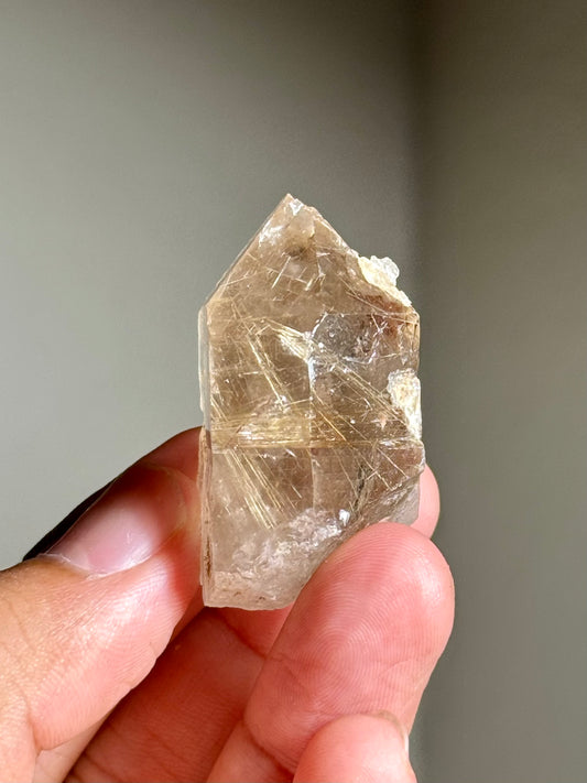 Smoky Quartz with Rutile