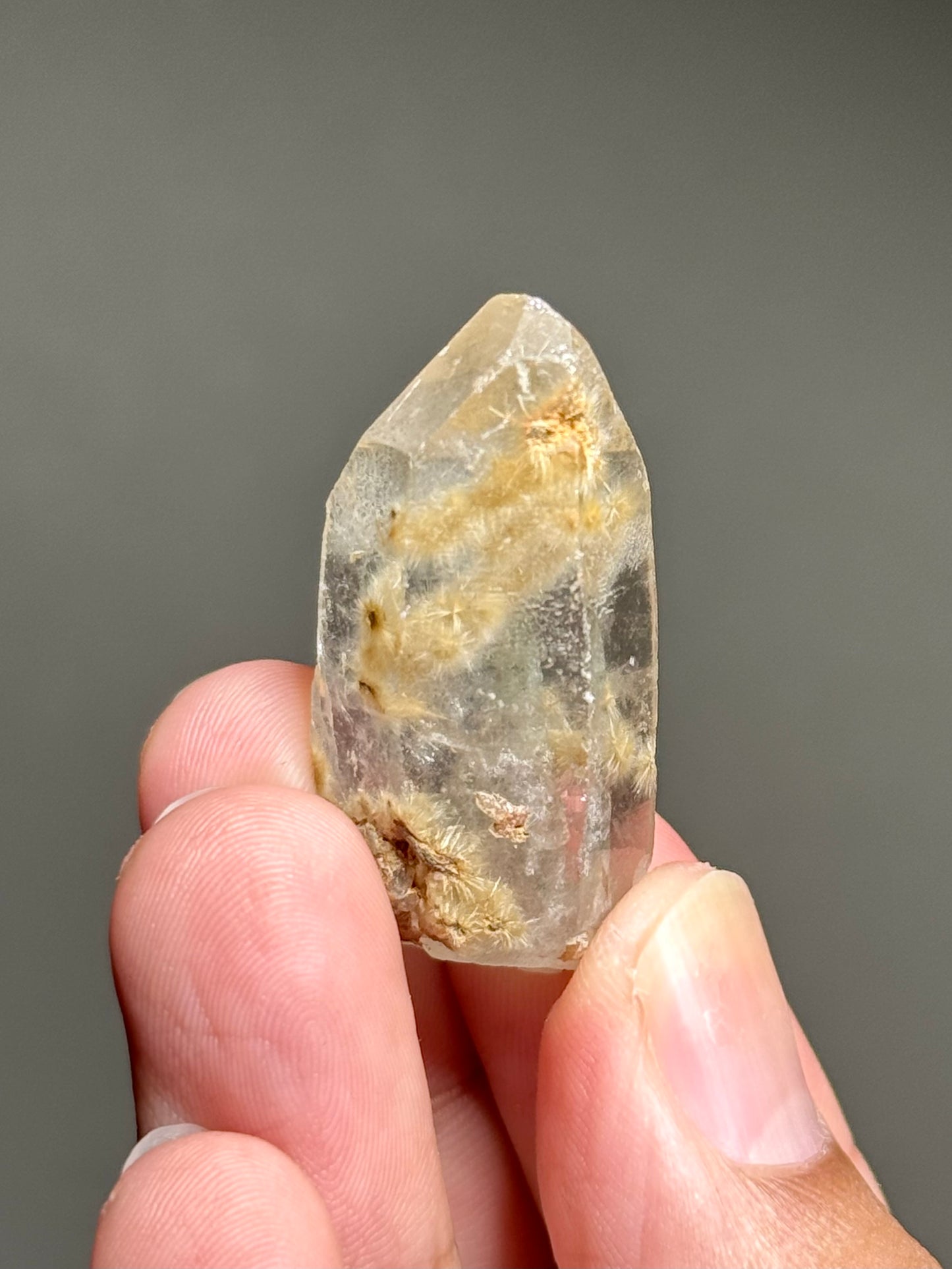 Dandelion Rutile in Quartz