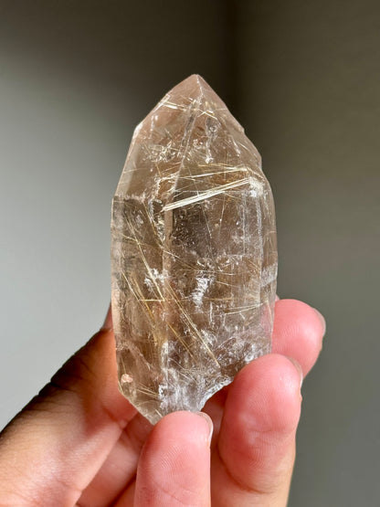 Smoky Quartz with Rutile