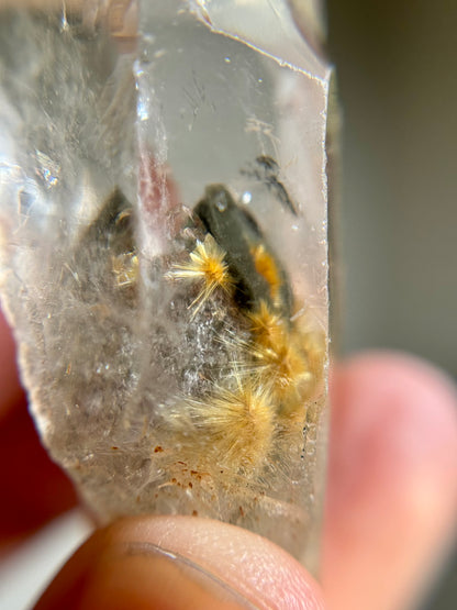 Dandelion Rutile in Quartz