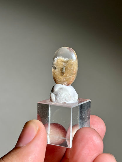 Dandelion Rutile in Quartz (Polished)