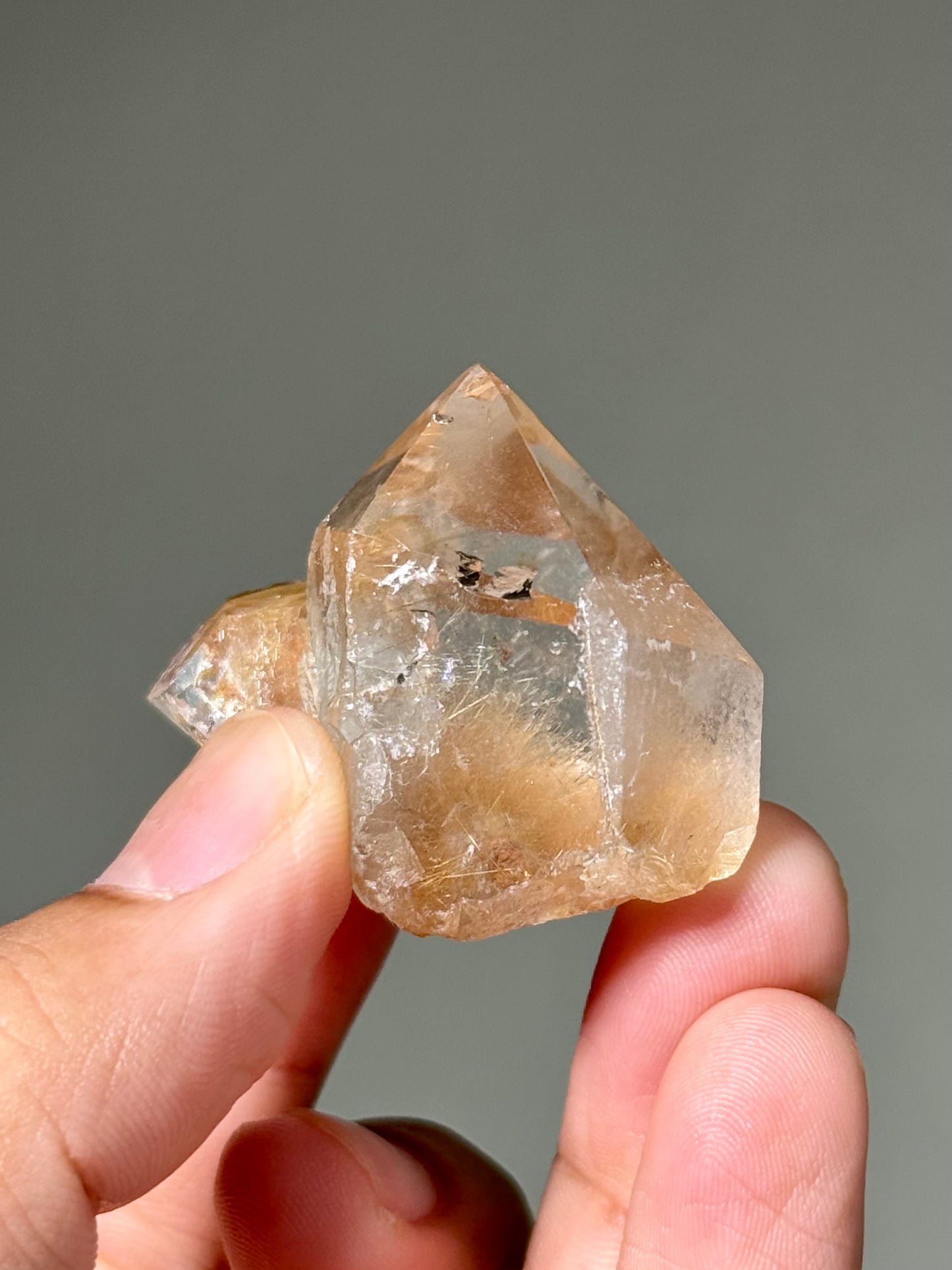 Semi-Polished Himalayan Quartz with Rutile