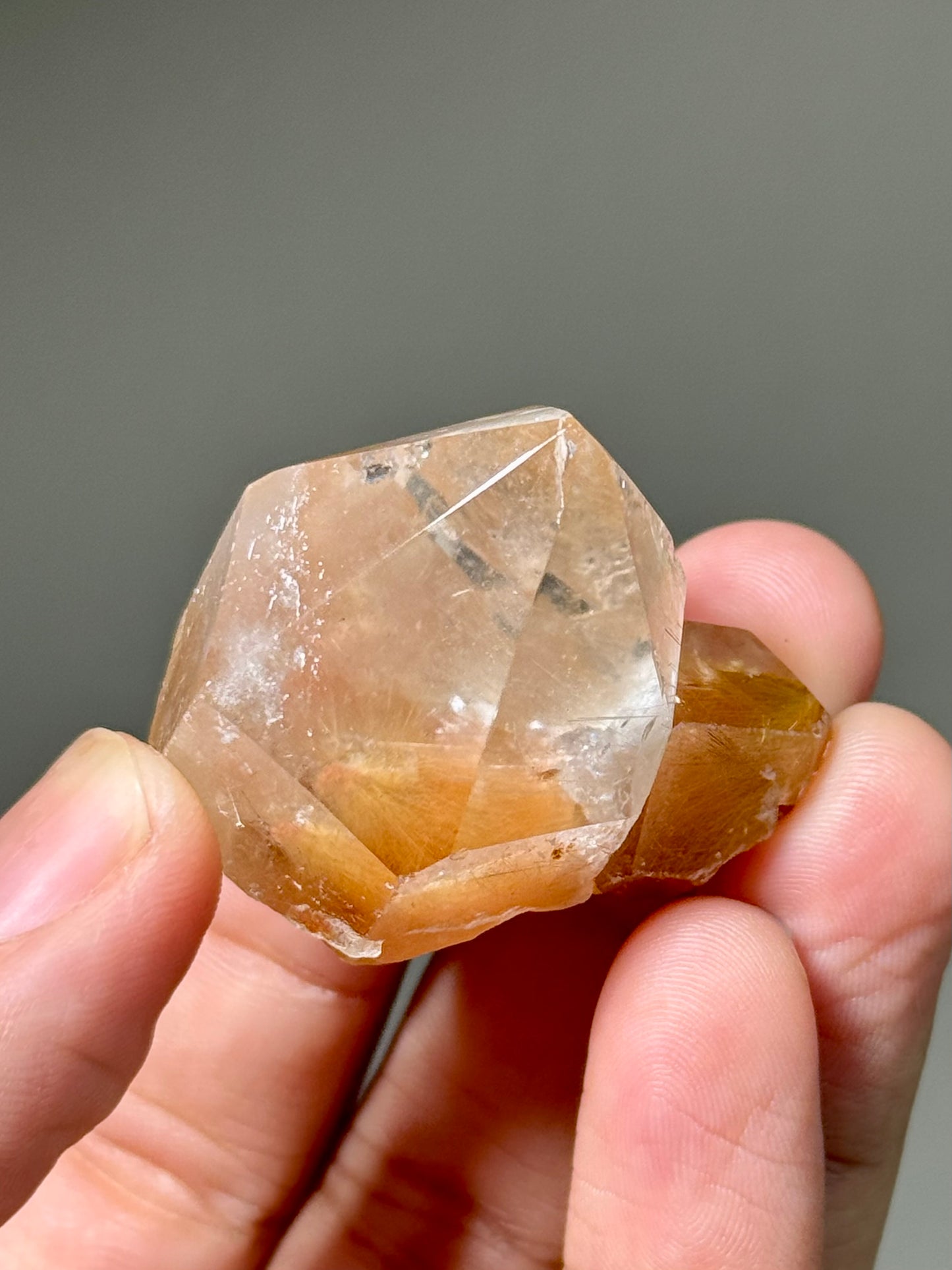 Semi-Polished Himalayan Quartz with Rutile