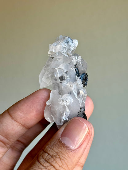 Quartz & Ferberite