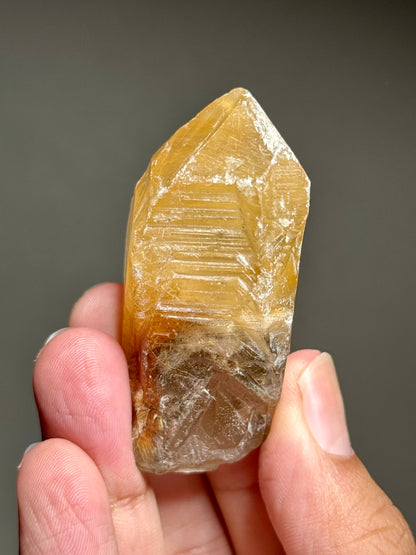 Dandelion Rutile in Quartz
