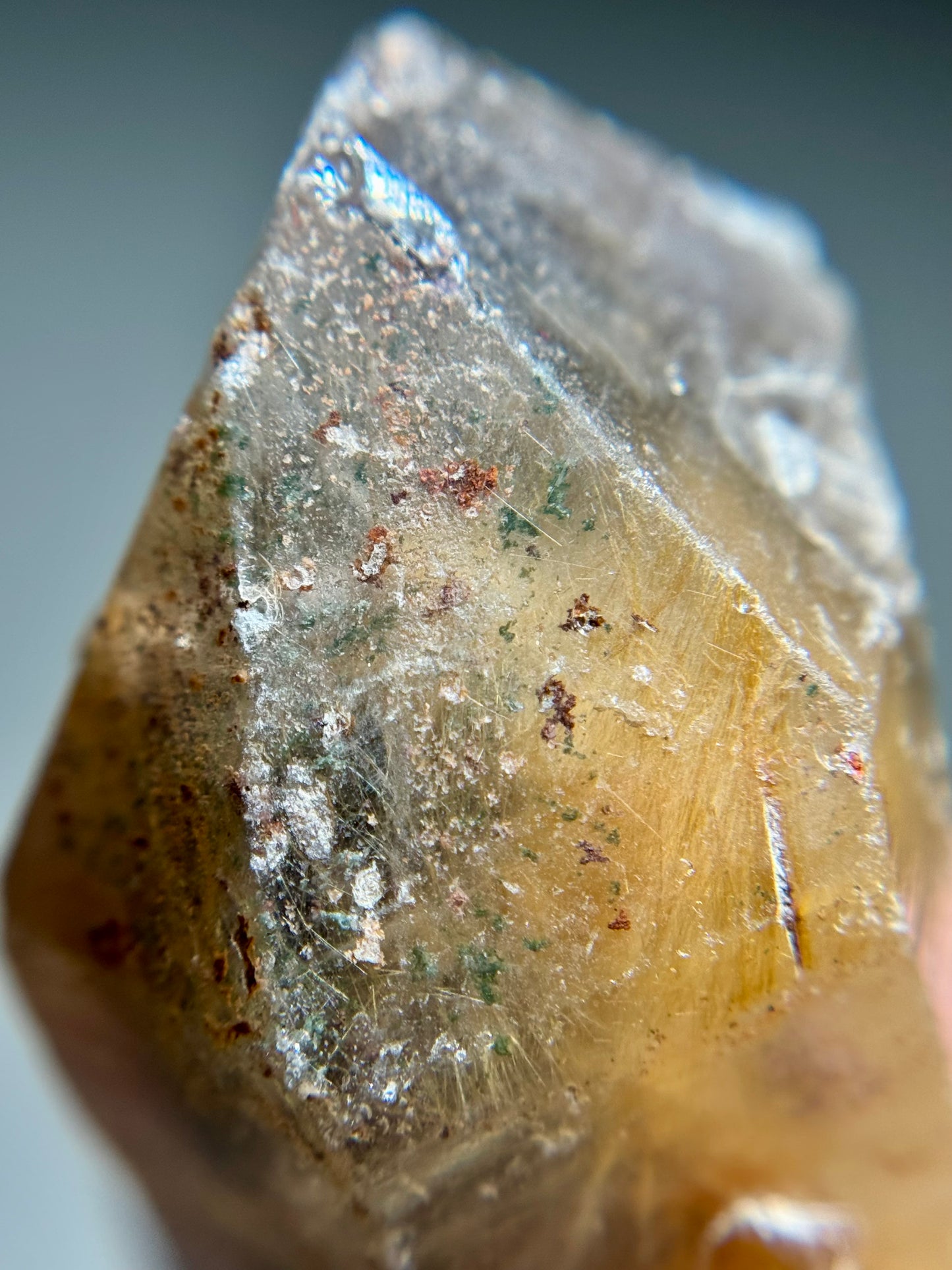 Dandelion Rutile in Quartz