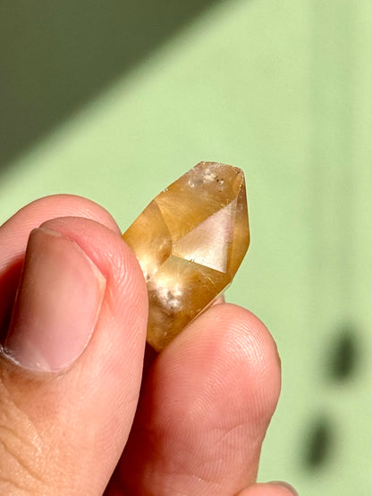 Semi-Polished Himalayan Quartz with Rutile
