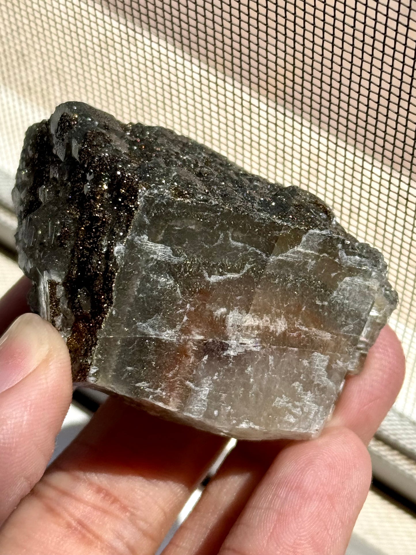 Calcite & Pyrite