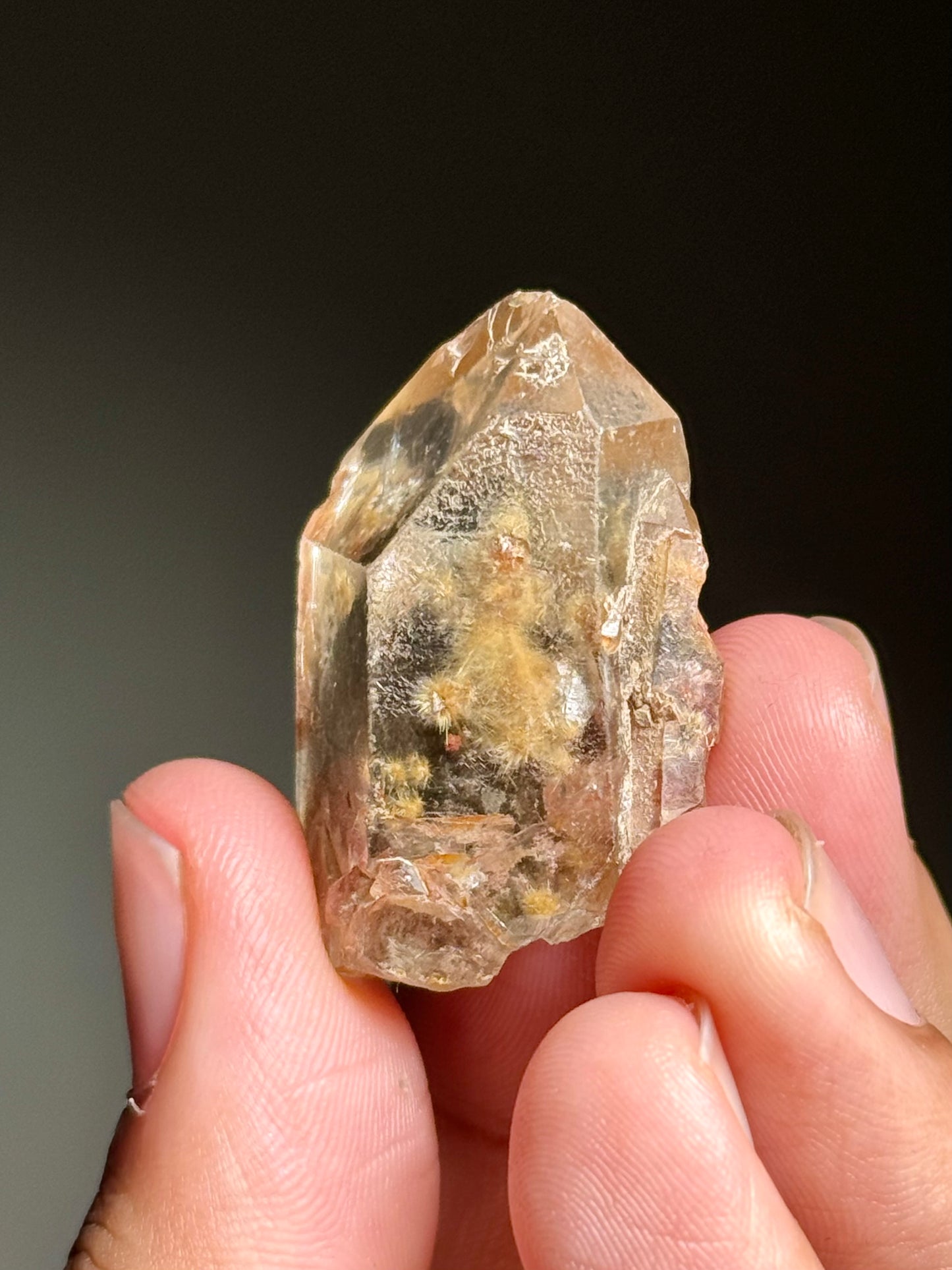Dandelion Rutile in Quartz