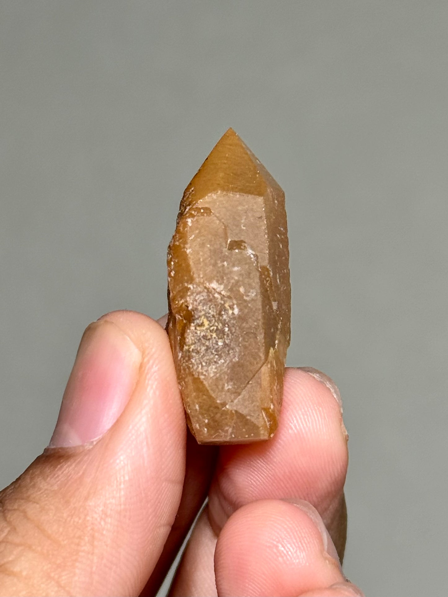 Semi-Polished Himalayan Quartz with Rutile