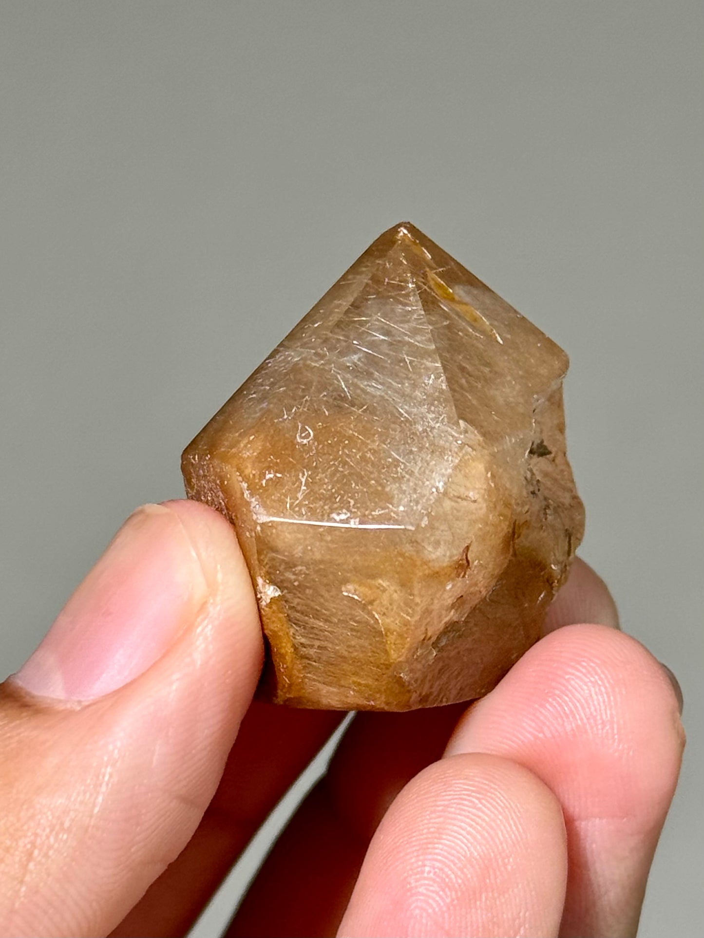 Semi-Polished Himalayan Quartz with Rutile