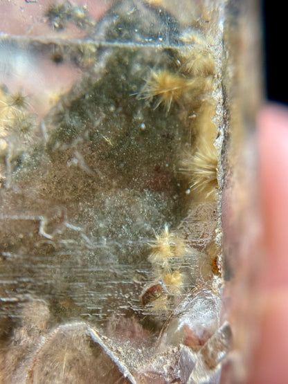 Dandelion Rutile in Quartz