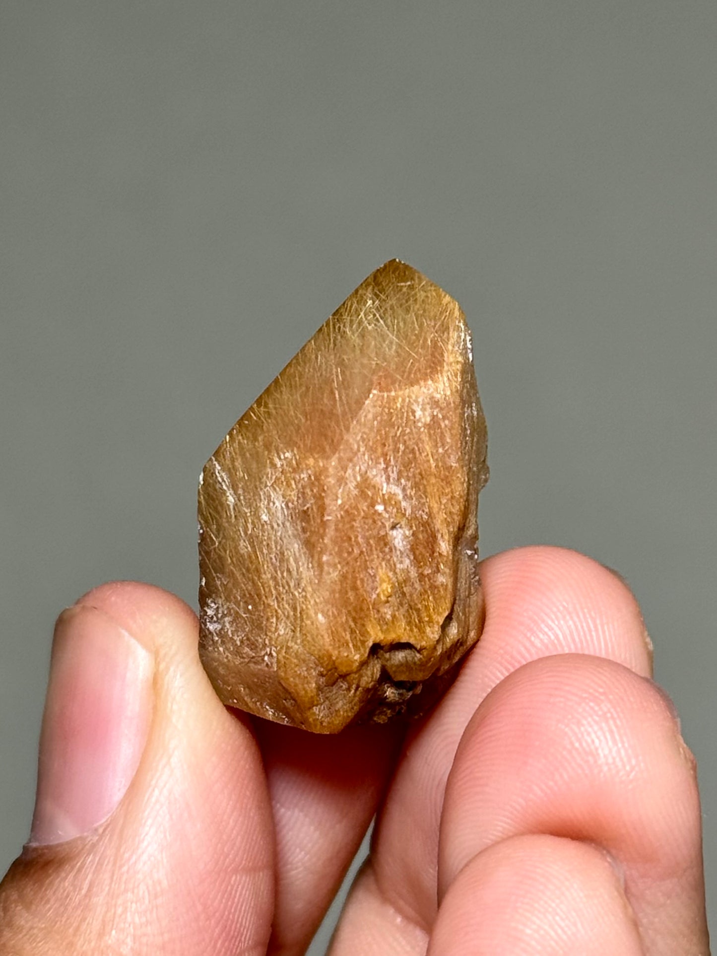 Semi-Polished Himalayan Quartz with Rutile